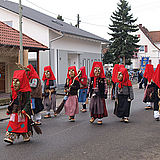 Narrenbaumstellung Hagenbach mit kleinem Umzug 25.01.2015